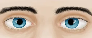 Eyes
