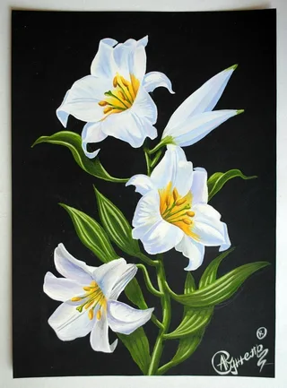 Лілії. Гуаш. 2011 р.