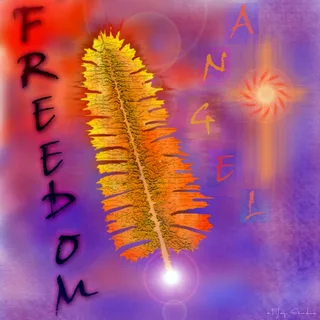 Freedom