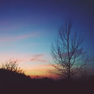 Захід